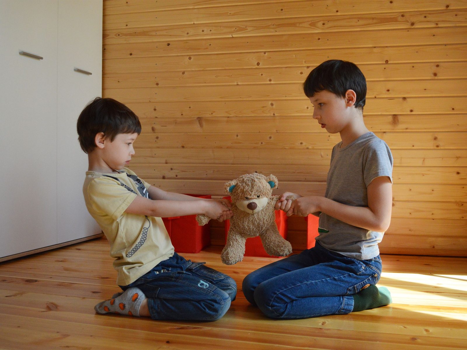 Zwei Brüder knien sich gegenüber und ziehen beide an demselben Teddybären