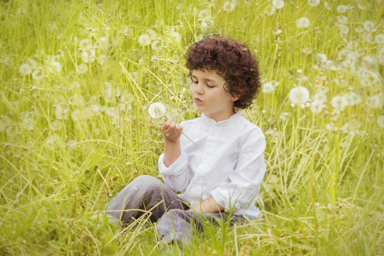 Ein Junge sitzt in einer Wiese und pustet eine Pusteblume